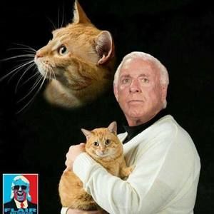 Meet your Posher, Evan